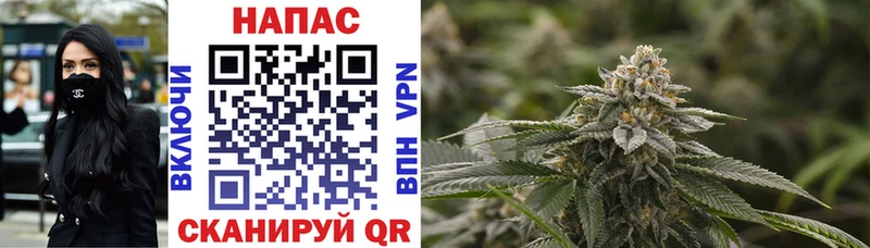 Купить закладку Великий Новгород ТГК  Марихуана  A PVP 