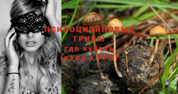 эйфоретик Богородицк