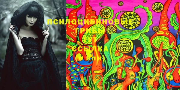 эйфоретик Богородицк