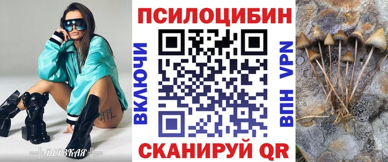 МЕГА рабочий сайт  где найти   Великий Новгород  Псилоцибиновые грибы GOLDEN TEACHER 